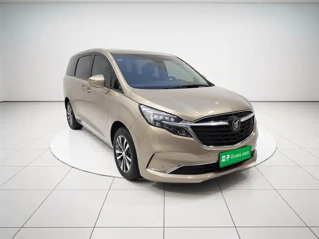 Buick GL8 2022 ES Landmark 653T Premium фото 4