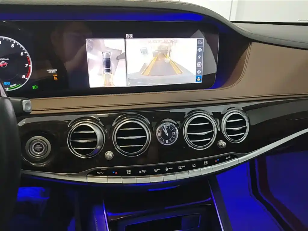 Mercedes-Benz S-Class 2020 S 350 L Premium Edition Collector's Version фото 13