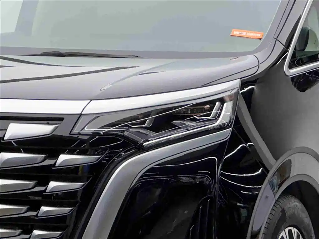 Denza D9 2024 PIONEER 4-Seater Pioneer Edition фото 3