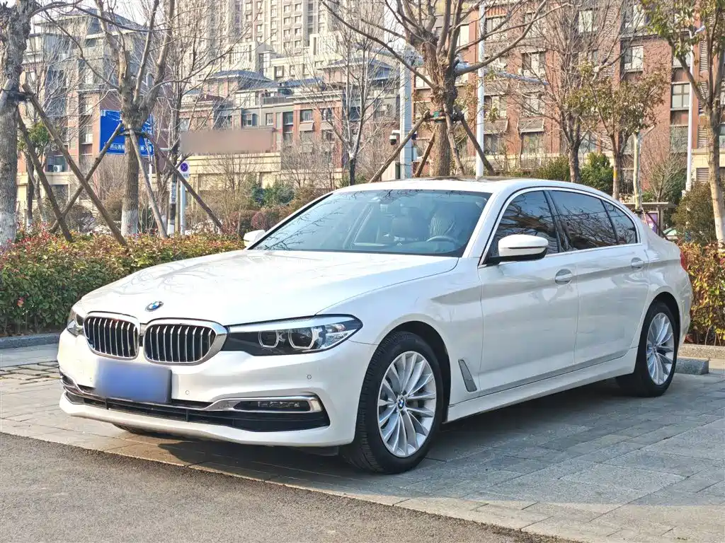 BMW 5 Series 2019 530Li Leading Luxury Package