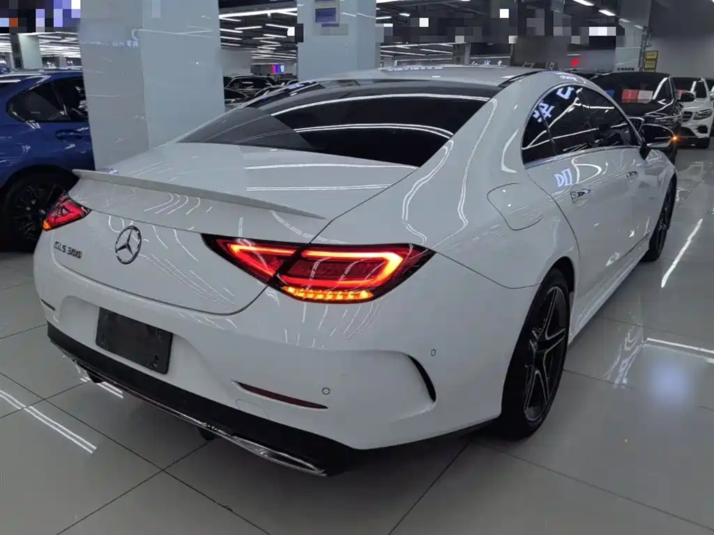 Mercedes-Benz CLS 2021 CLS 300 Luxury фото 7