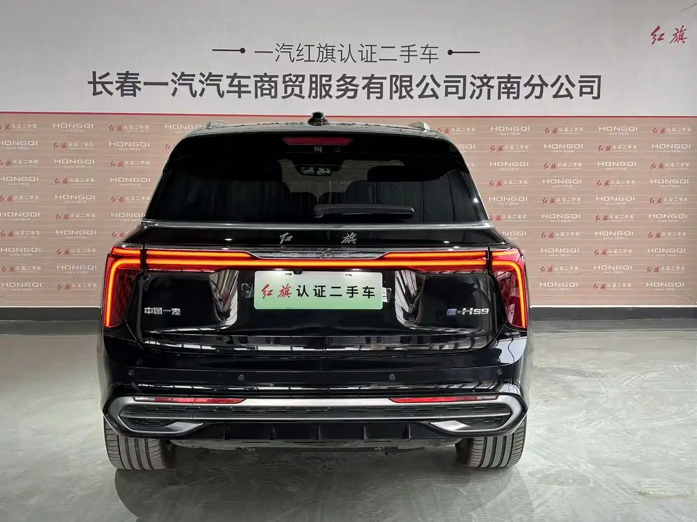 Hongqi E-HS9 2022 660km Qi Chang Edition (6-seater) фото 5