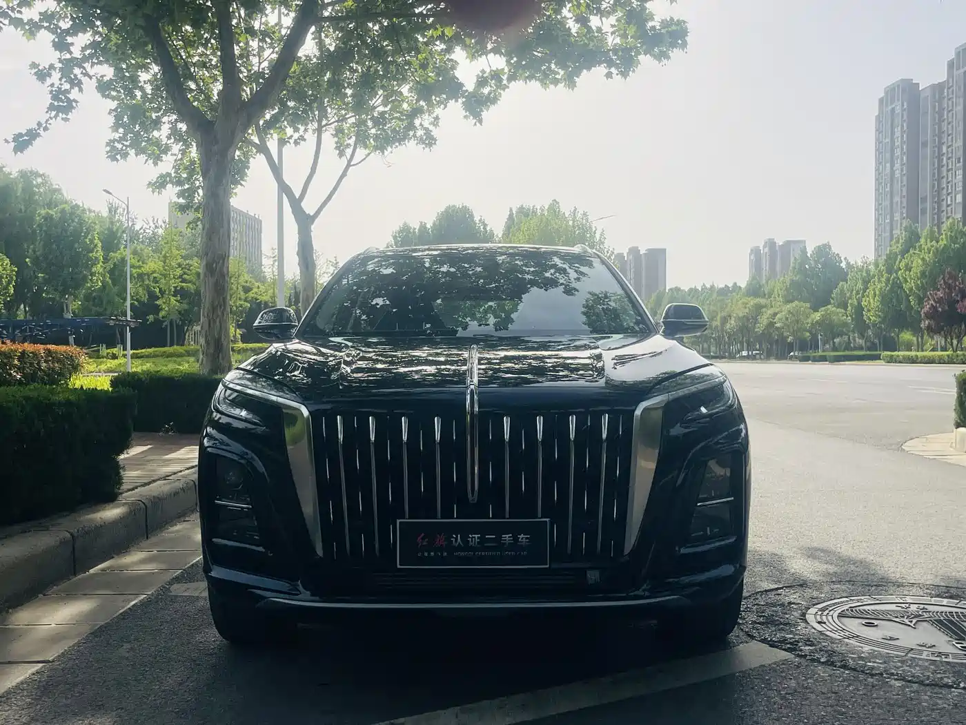 Hongqi HS3 PHEV 2024 PHEV 115km Power Edition фото 2