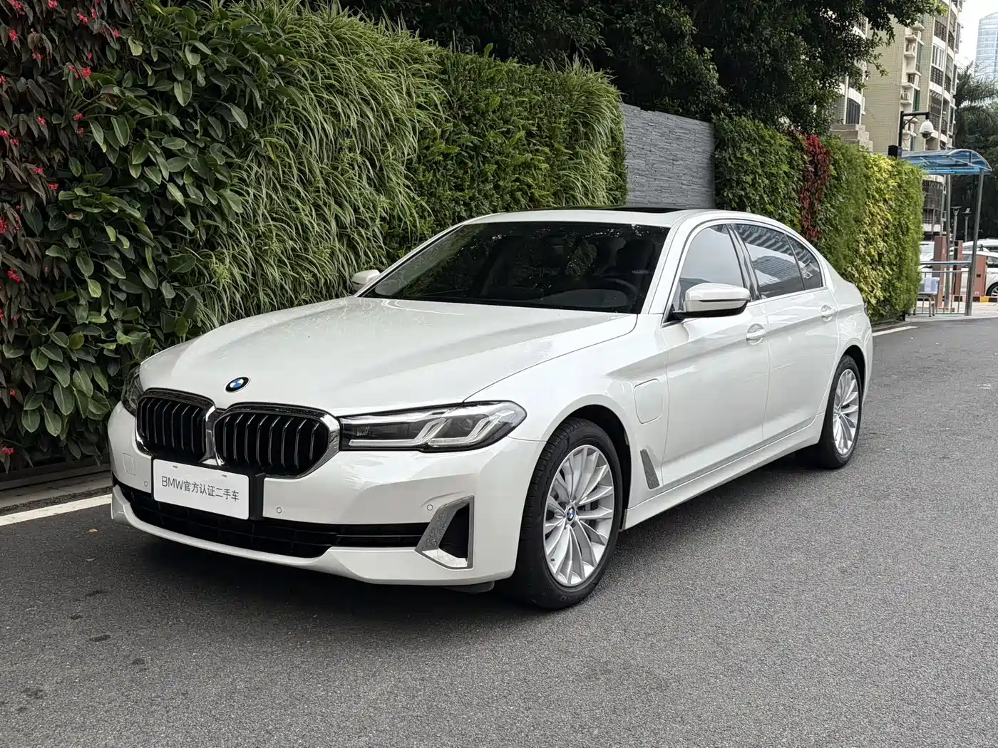 BMW 5 SERIES NEW ENERGY