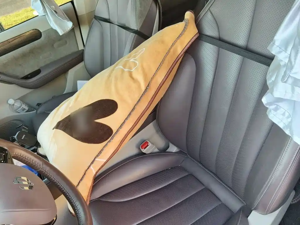 Leapmotor C11 2022 2021 Luxury Edition