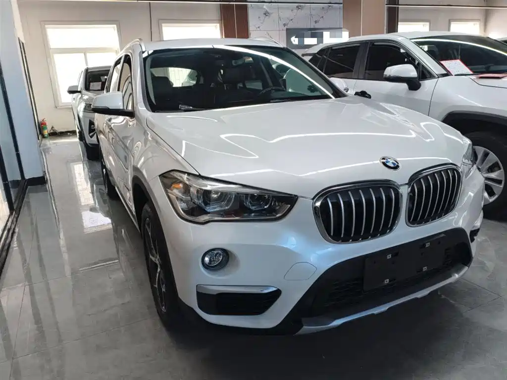 BMW X1 2018 xDrive20Li Premium Model фото 4