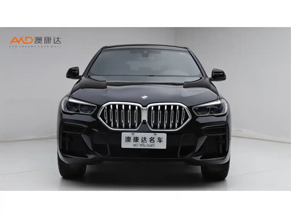 BMW X6 2022 xDrive40i M Sport Package фото 2