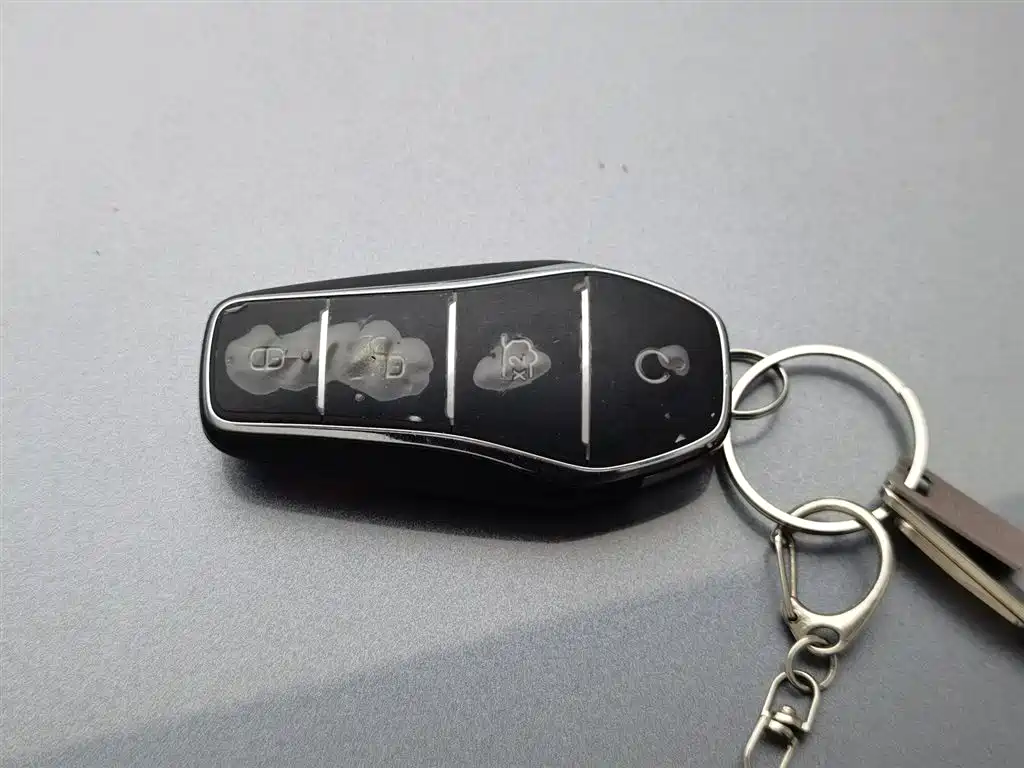 BYD Song PLUS PHEV 2024 Glory Edition EV 520km Flagship фото 19
