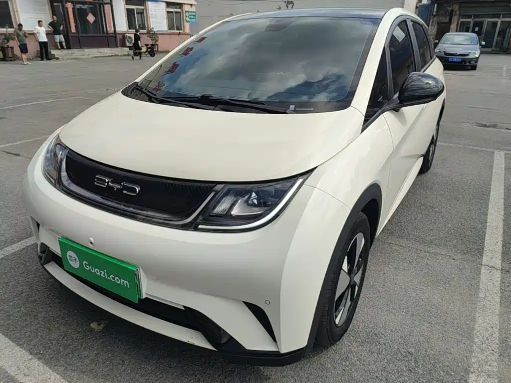 BYD Dolphin 2023 420km Fashion Edition