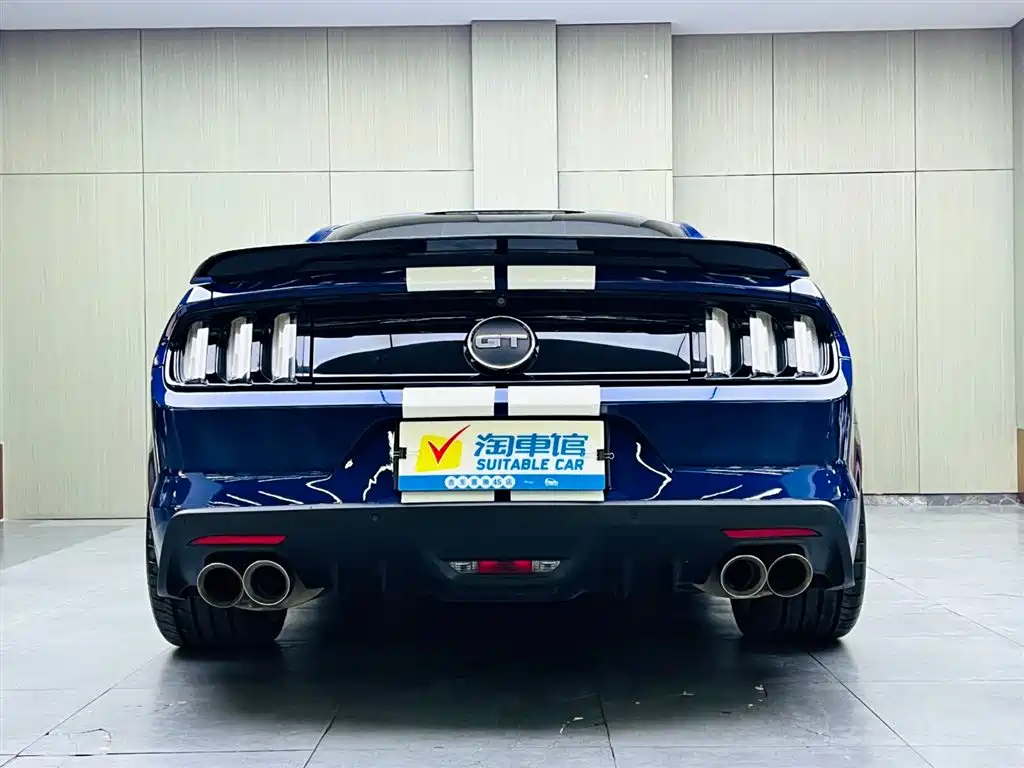 Ford Mustang 2015 5.0L GT Performance Edition фото 5