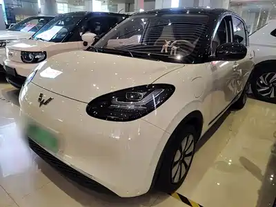 Wuling Bingo