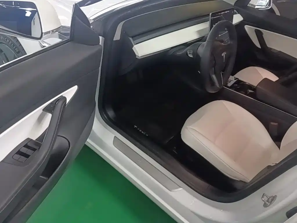 Tesla Model 3 (Import) 2019 2019 Long Range RWD Version