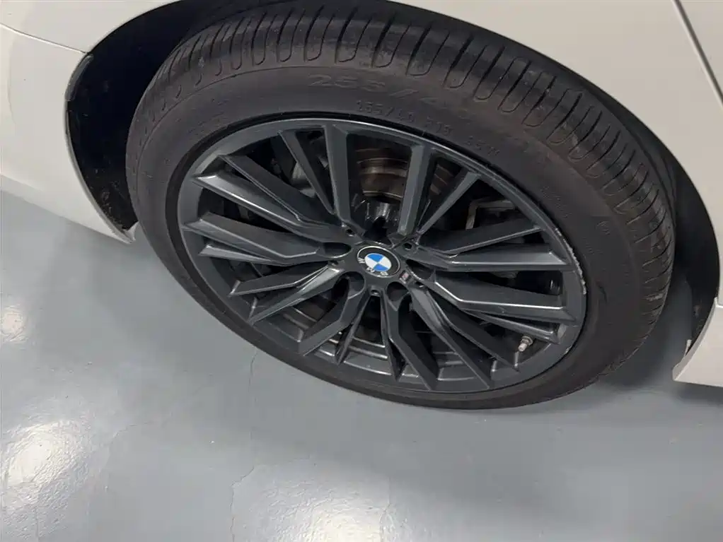 BMW 3 Series 2021 Second Facelift 325Li M Sport Night Package фото 6