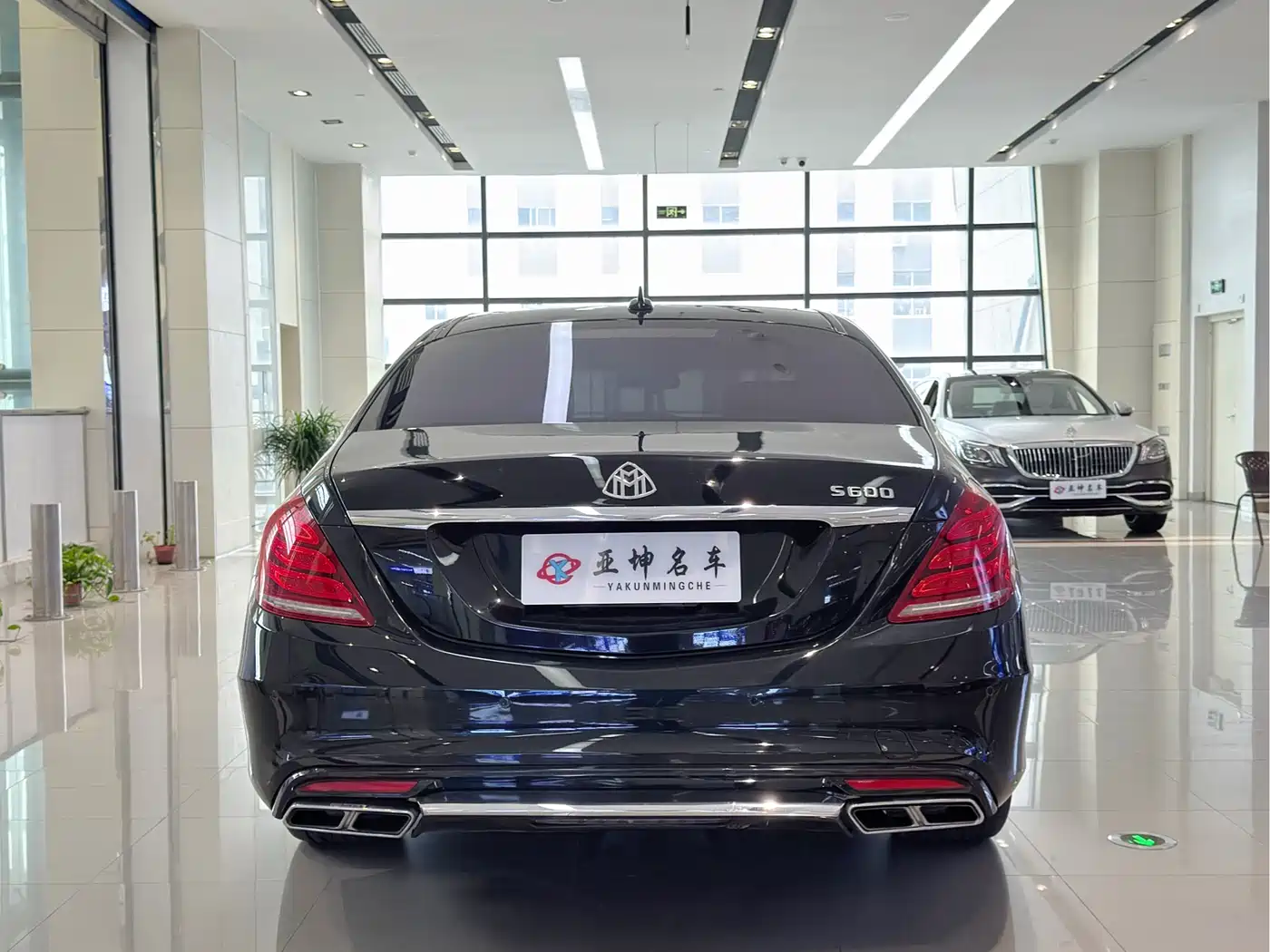 Mercedes-Benz S-Class 2014 S 600 L фото 5
