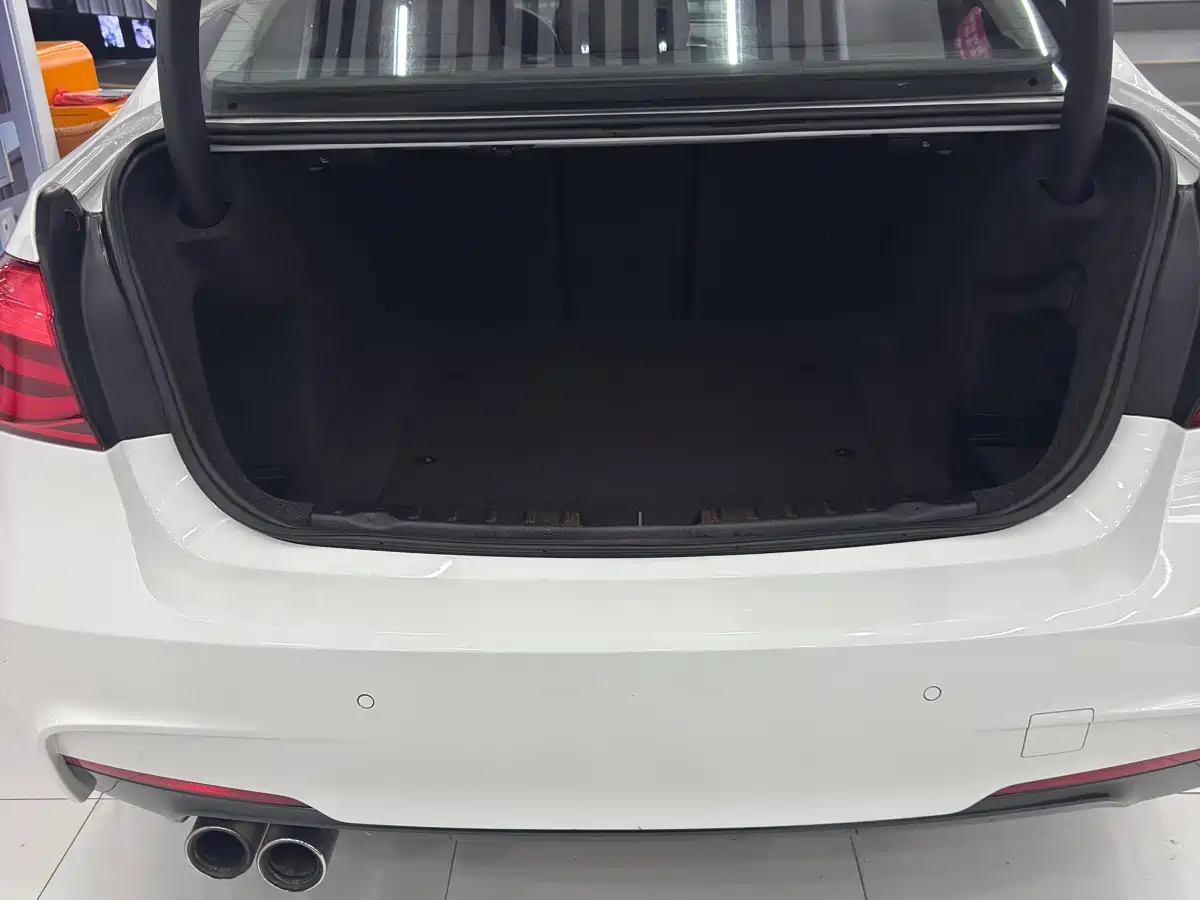 BMW 3 Series 2018 320Li Leading M Sport Package фото 11
