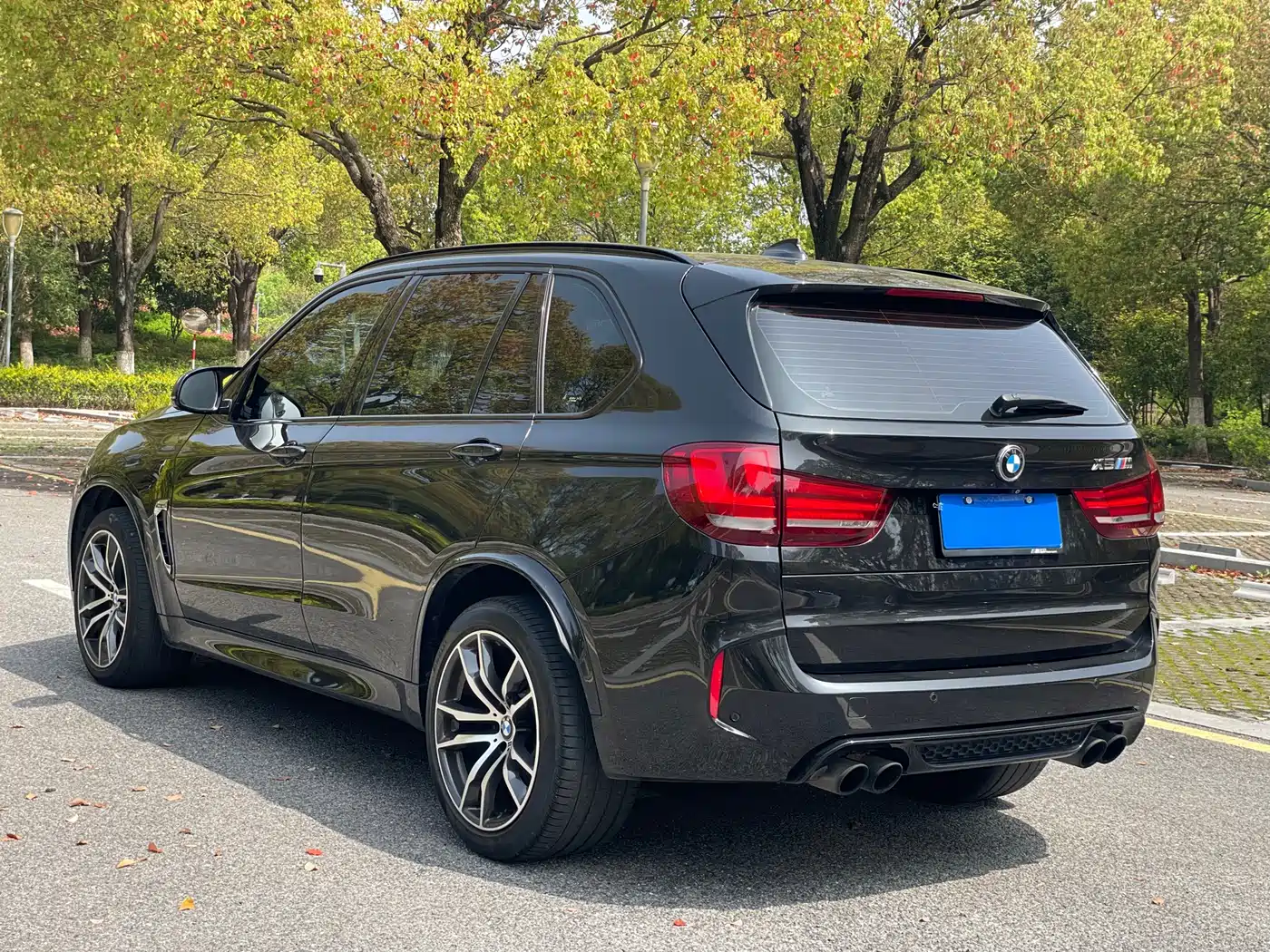 BMW X5 M 2013 X5 M фото 9