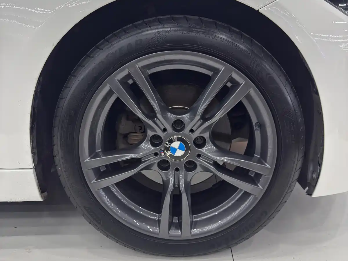 BMW 3 Series 2018 320Li Leading M Sport Package фото 10