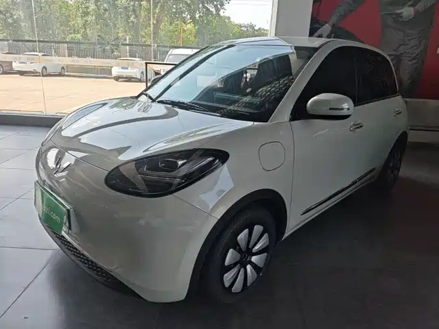  Wuling Motors Wuling Bingo 2024 333km Comfort Edition