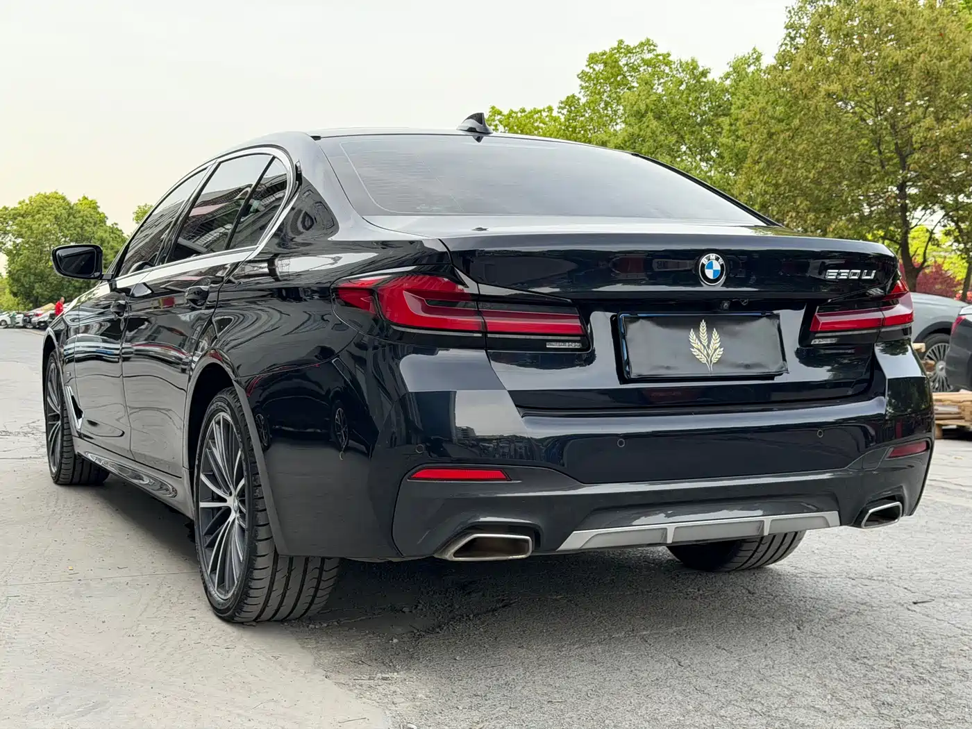 BMW 5 Series 2022 530Li Leading M Sport Package фото 13