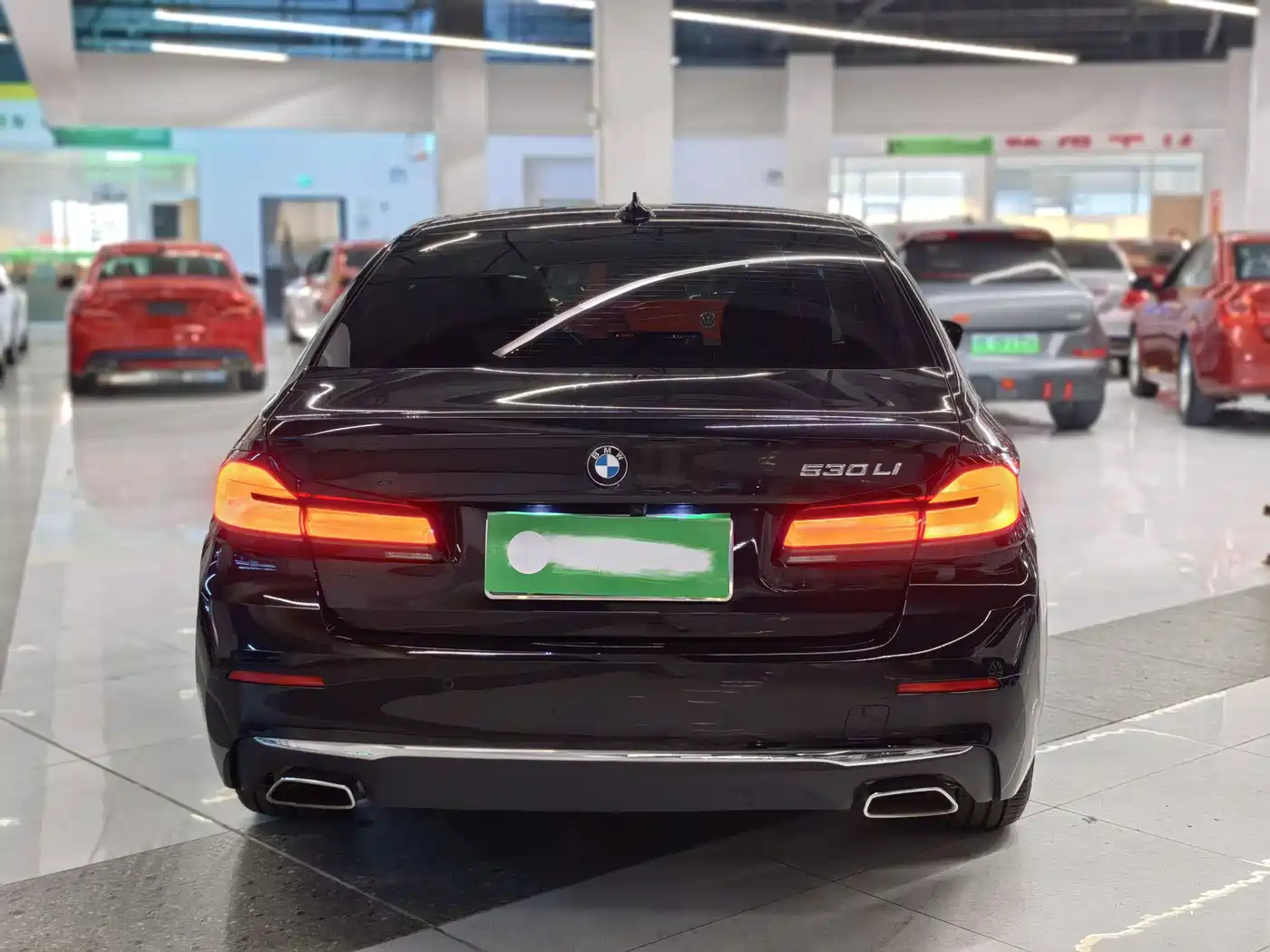 BMW 5 Series 2021 530Li Leading Luxury Package фото 4