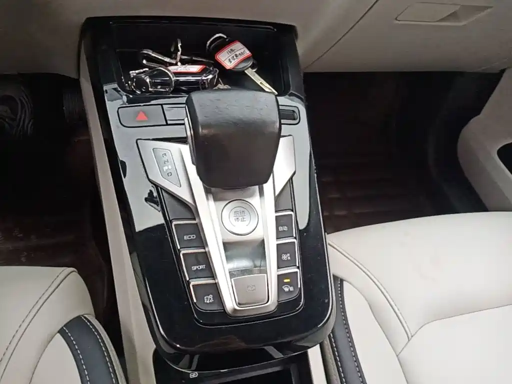 BYD Yuan Pro 2021 2021 401KM Luxury Model