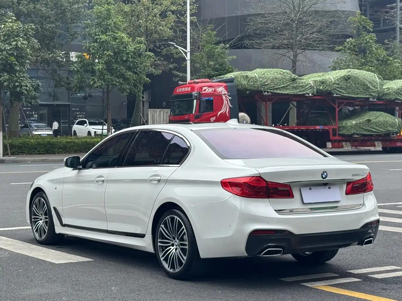 BMW 5 Series 2019 530Li Leading M Sport Package фото 39