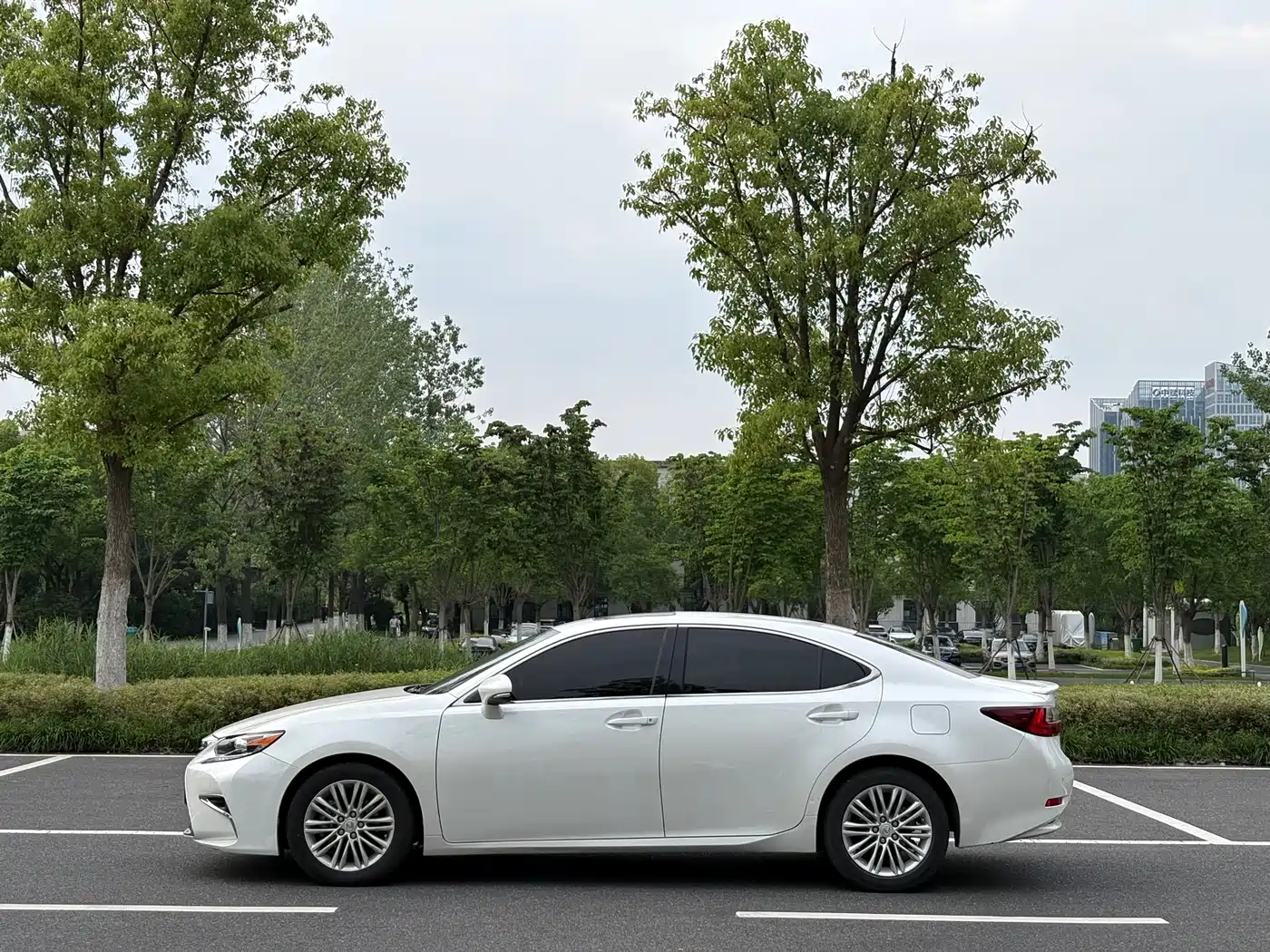 Lexus ES 2015 200 Elite Edition фото 7