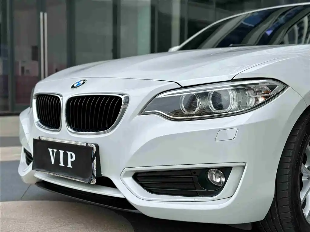 BMW 2 Series (Import) 2015 218i Convertible Coupe фото 22