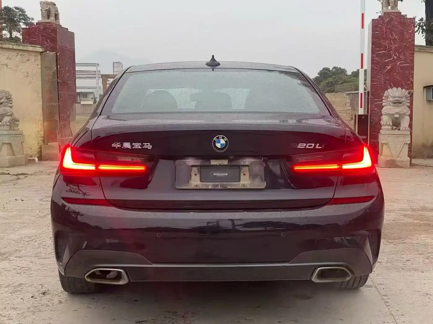 BMW 3 Series 2020 320Li M Sport Package фото 8
