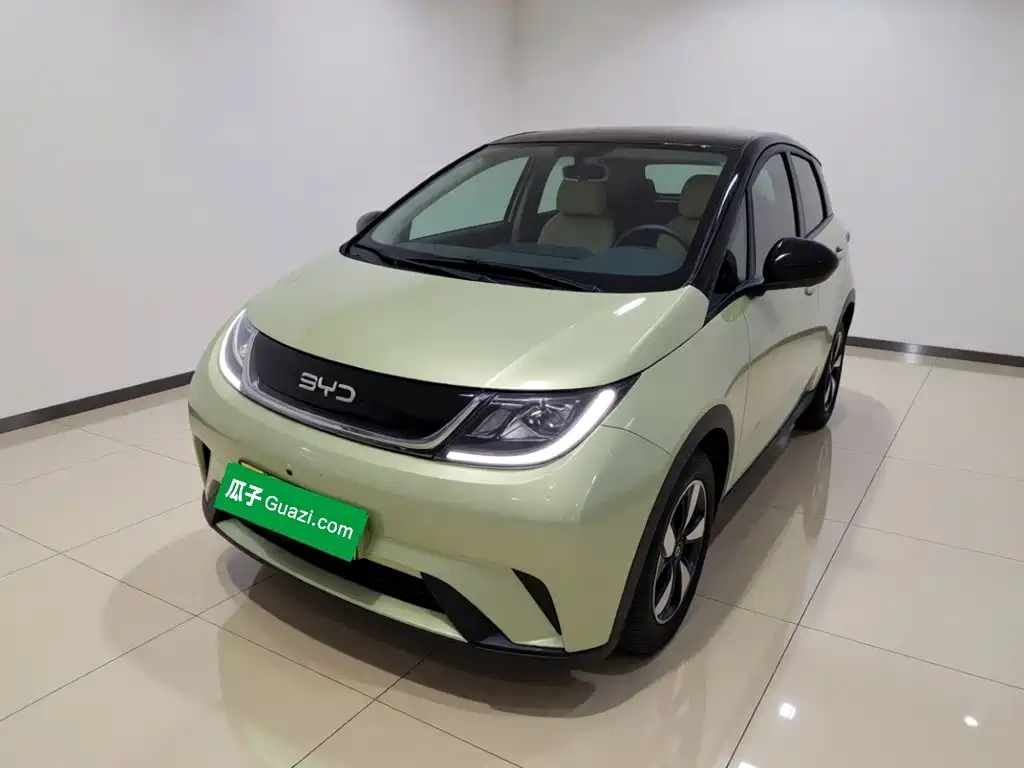 BYD Dolphin 2026 2025 420km Freedom Edition