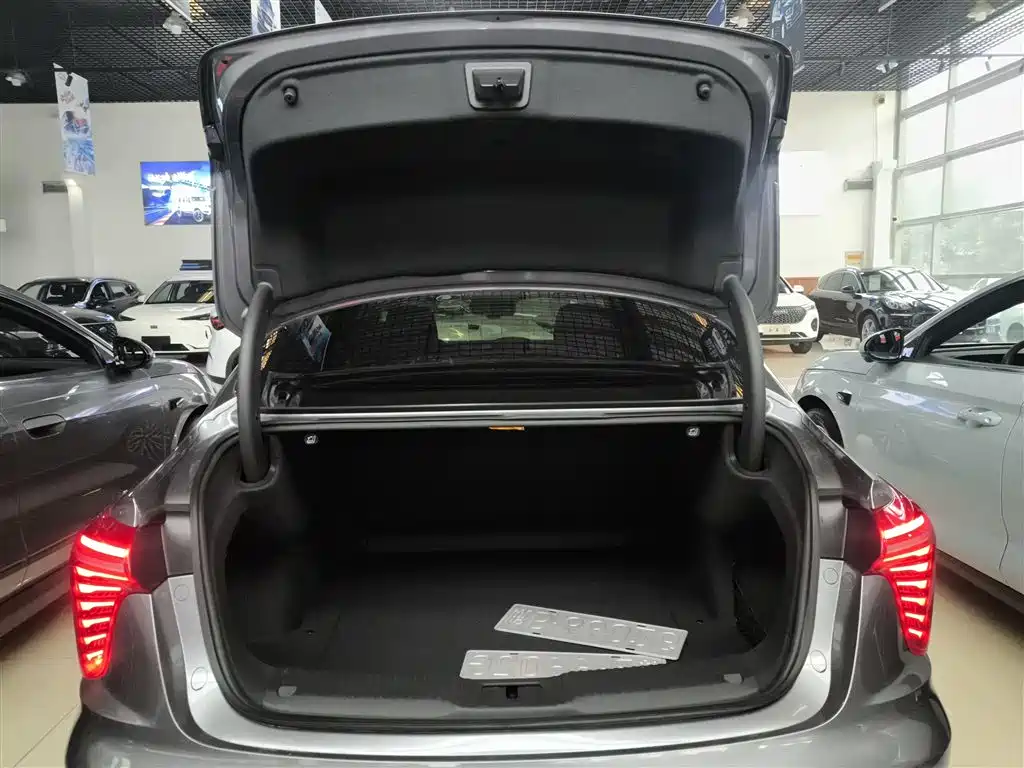 Hongqi H5 2023 2.0T Auto Smart Connect Flag Comfort фото 19