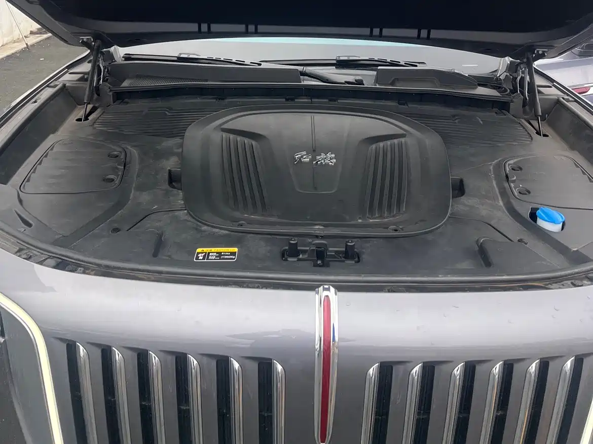 Hongqi E-HS9 2022 690km Qi Xiang Edition (6-seater) фото 13