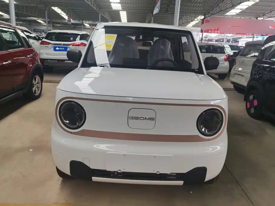 Geely Galaxy Panda 2026 2024 Panda mini 200km Endurance Bear