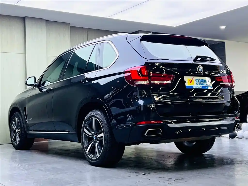 BMW X5 (Import) 2018 xDrive35i Elegant Model фото 6