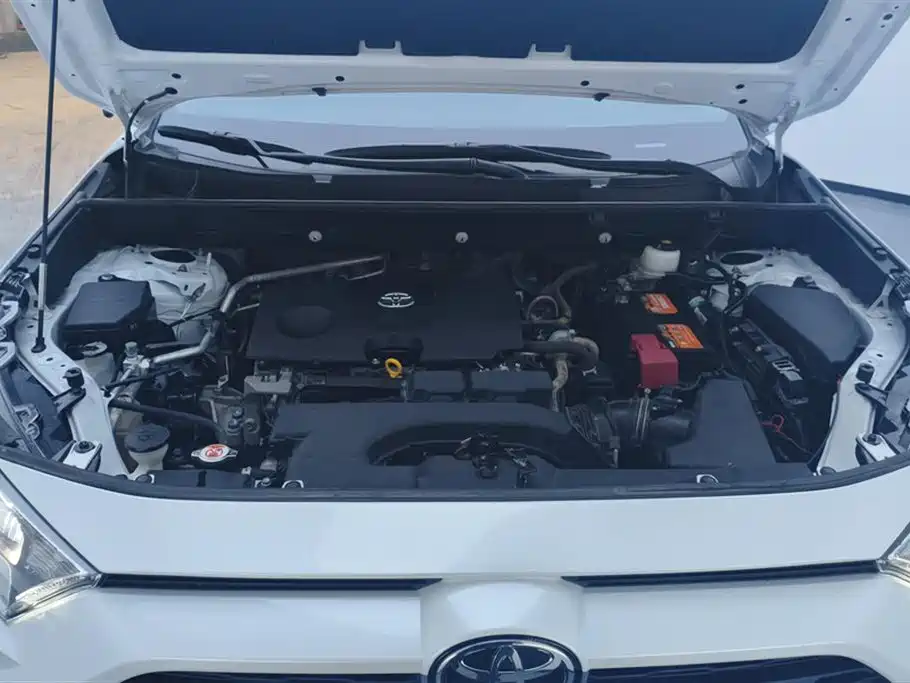Toyota RAV4 Rongfang 2021 2.0L CVT 2WD Trend PLUS фото 10