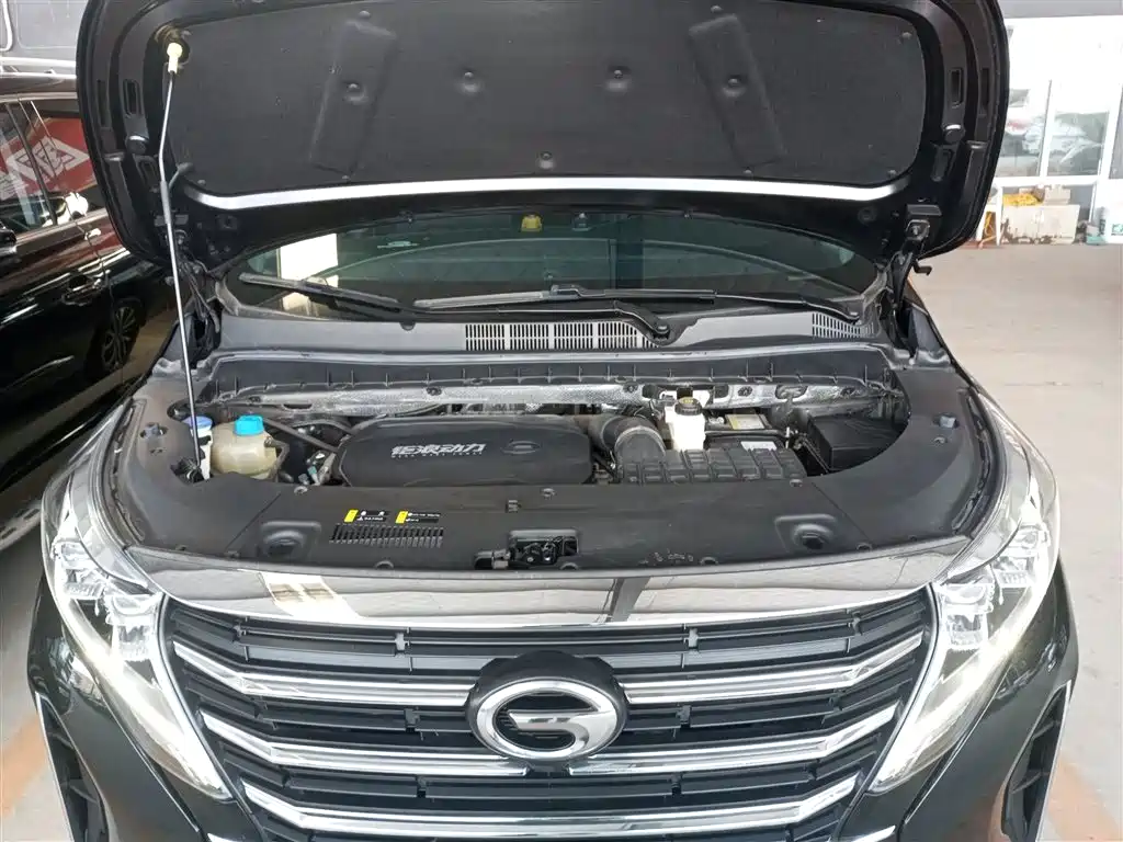 GAC Trumpchi Trumpchi M8 2023 Leading Series 390T Premium Edition фото 10