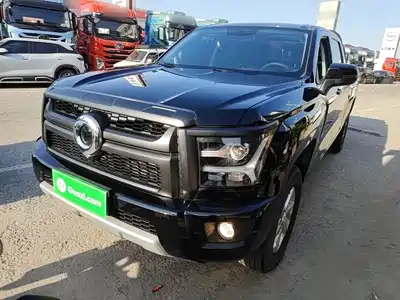 Great Wall King Kong Poer