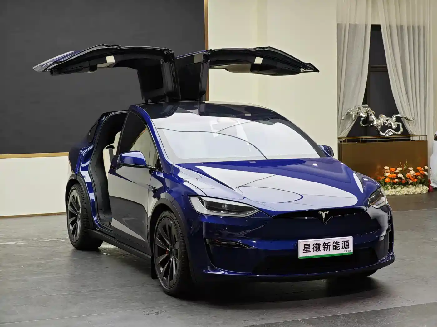 Tesla Model X 2023 Dual Motor All-Wheel Drive Edition фото 3