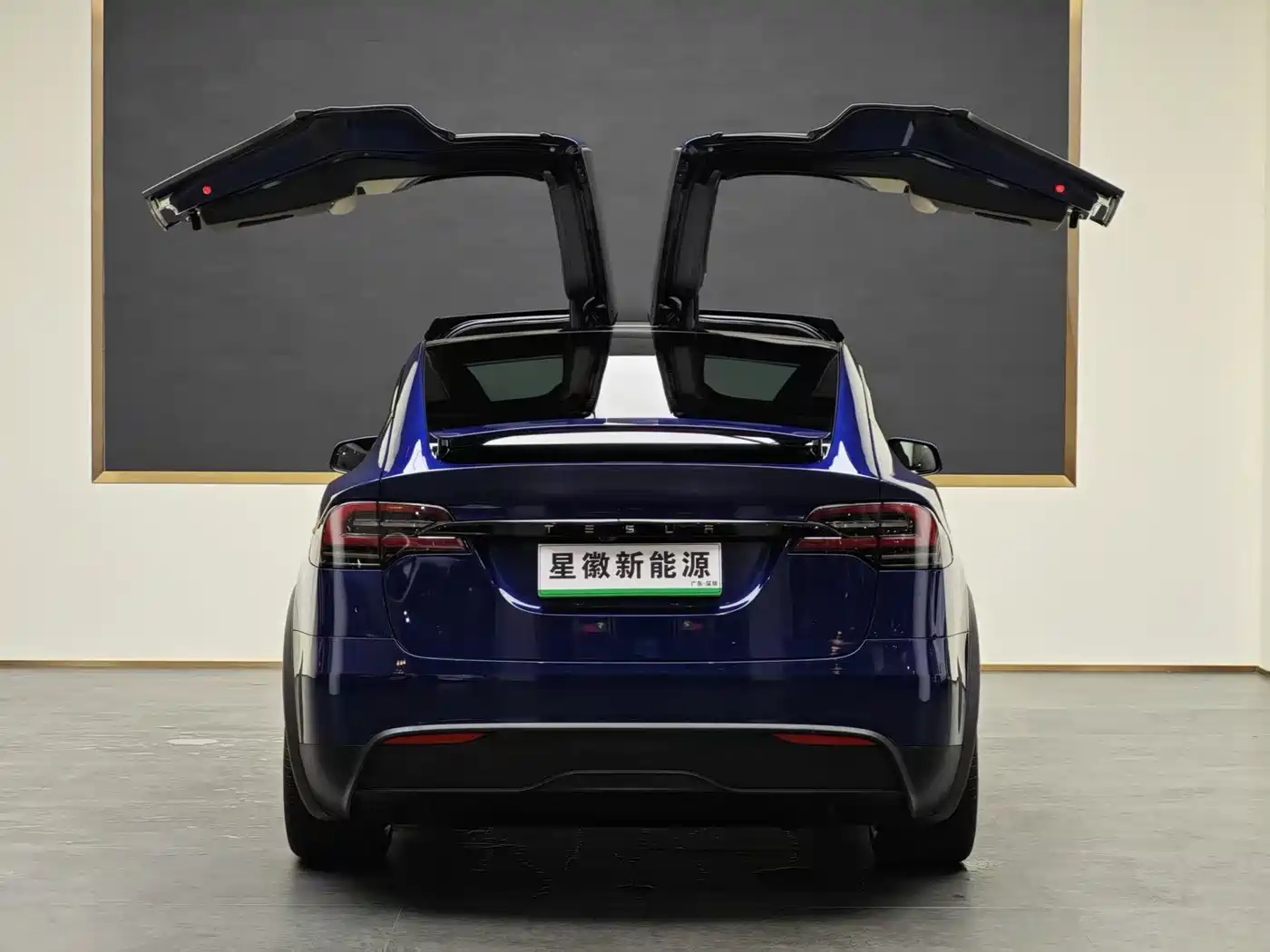Tesla Model X 2023 Dual Motor All-Wheel Drive Edition фото 17
