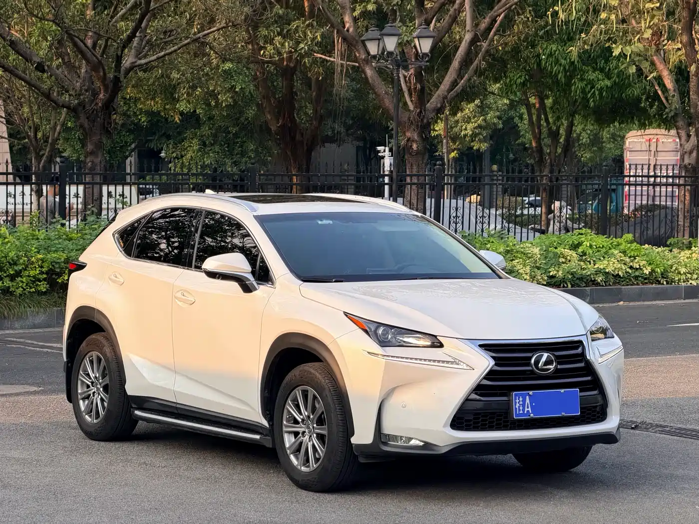 LEXUS NX