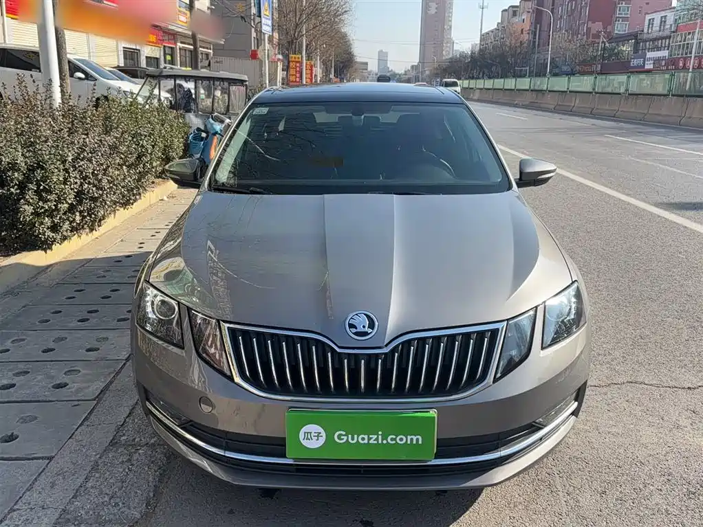 Škoda Octavia 2019 TSI230 DSG Luxury Edition фото 3