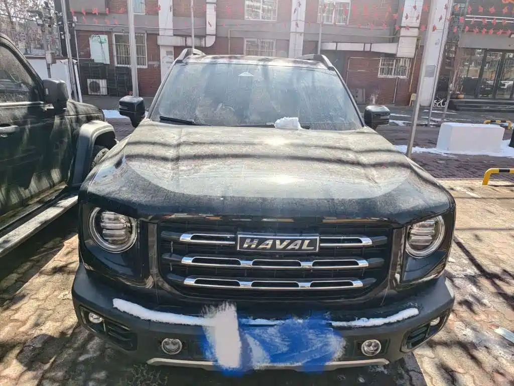 HAVAL BIG DOG