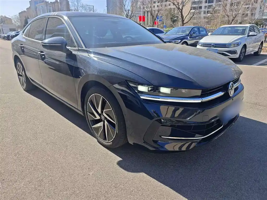 Volkswagen Magotan 2024 380TSI DSG Ultimate Edition фото 12