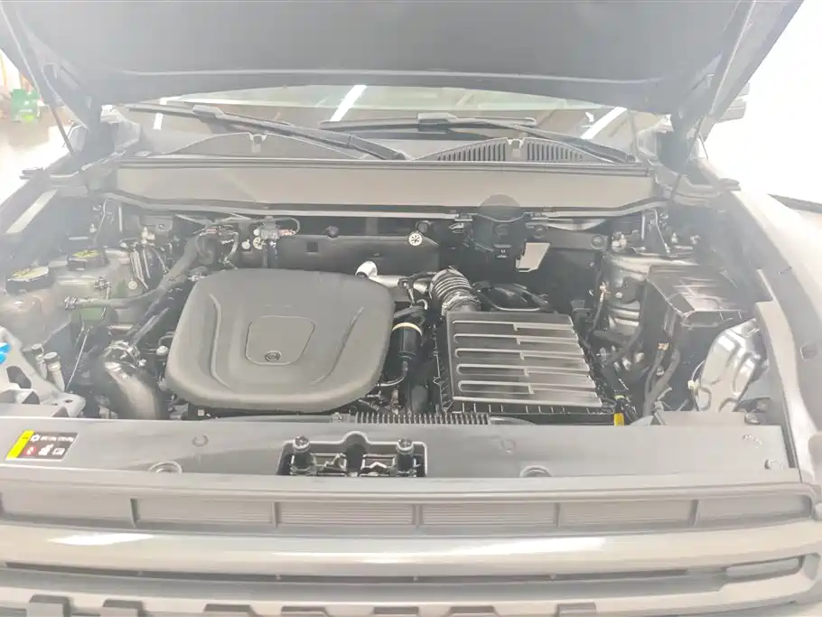 HAVAL RAPTORS NEW ENERGY