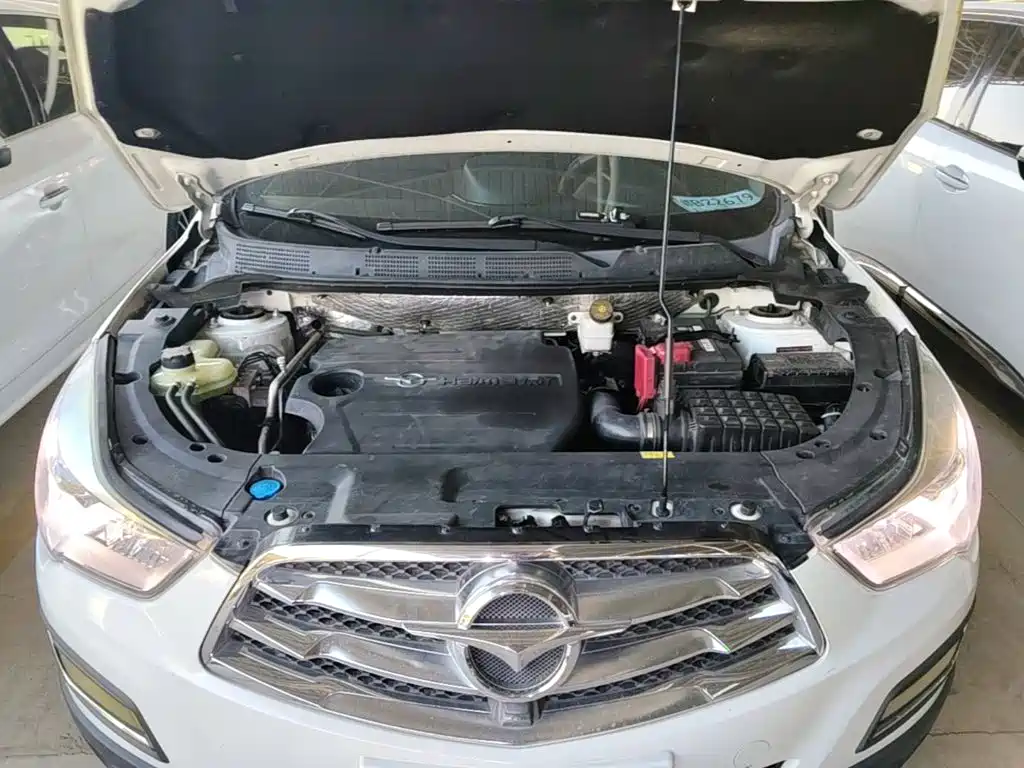 Фото 20 - Haima S5