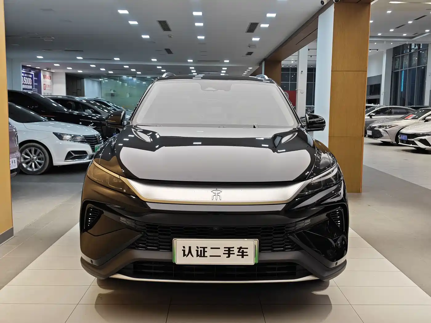 BYD SONGJIANG NEW ENERGY