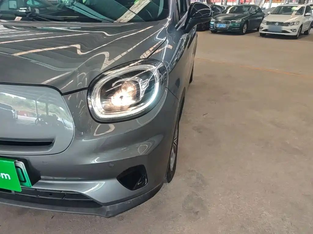 Leapmotor T03 2021 2020 400 Luxury Edition