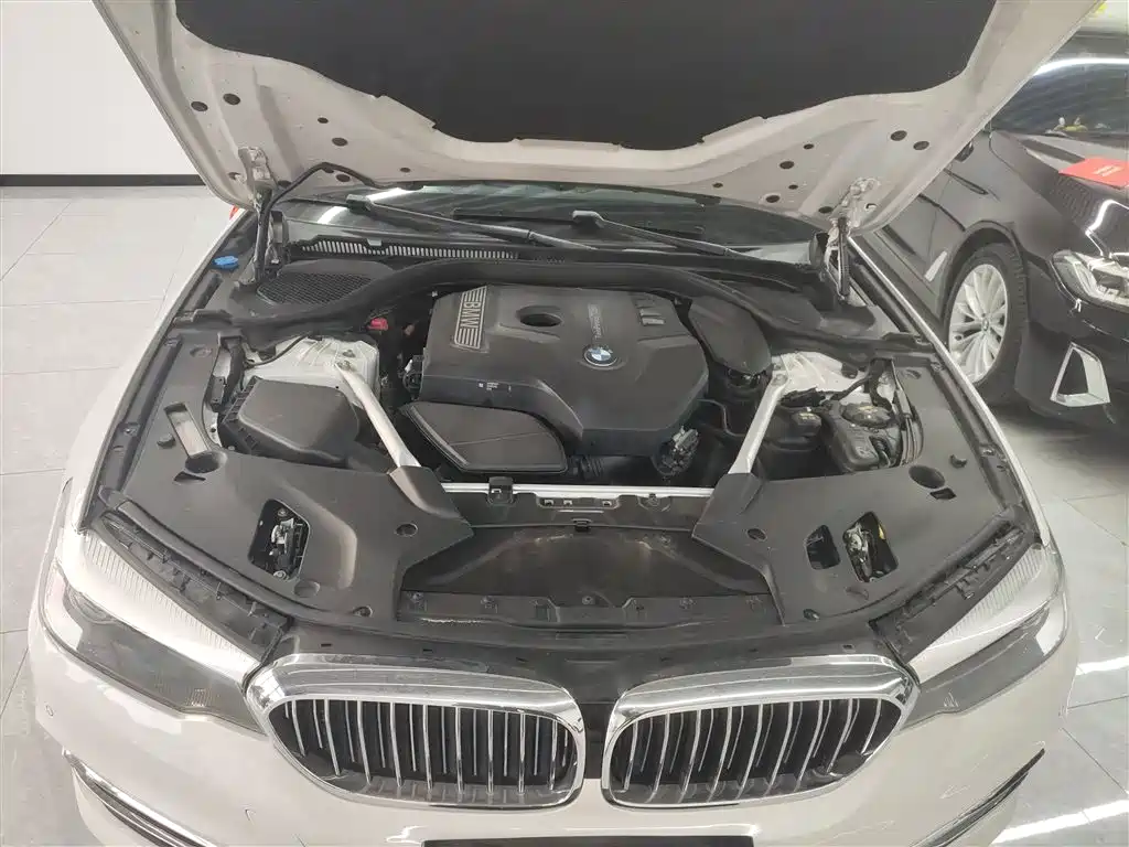BMW 5 Series 2020 525Li Luxury Package фото 16