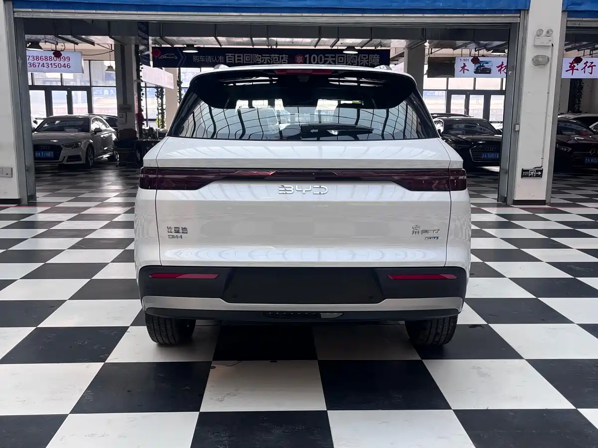 BYD SONGJIANG NEW ENERGY