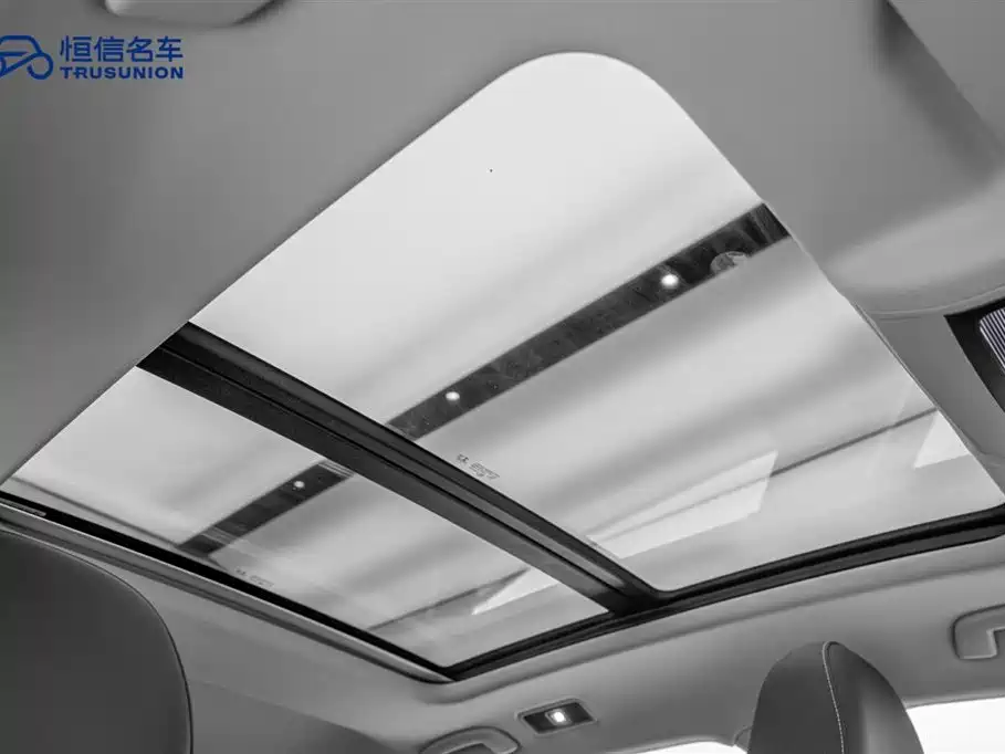 Volkswagen Passat 2022 330TSI Starlight Elite Edition фото 20